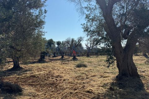 Farm hus i Ostuni, Brindisi, Ostuni - € 58.000 | Ref: 172934 - foto 13